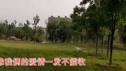 林玉英一首《水长流》怀旧经典,好听极了音乐完整版视频在线观看爱奇艺