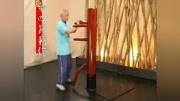 咏春拳教学视频全套 116式咏春拳木人桩生活完整版视频在线观看爱奇艺