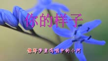 罗大佑你的样子曲谱_罗大佑你的样子图片(3)