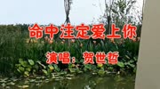 贺世哲一首《命中注定爱上你》歌声情意浓浓,让人陶醉!音乐高清MV在线观看–爱奇艺