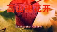 高山槐花开曲谱_槐花几时开简谱