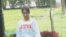 无怨无悔爱着你简谱_爱上你无怨无悔的图片
