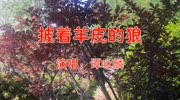 谭咏麟一首《披着羊皮的狼》经典老歌,百听不厌!音乐背景音乐视频音乐爱奇艺