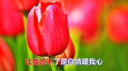 经典情歌《情暖我心》真好听!分享给大家音乐高清MV在线观看–爱奇艺