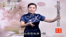 坠子全本呼杨侠义传21范翠霞王建国演唱