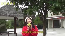 经典老歌北国之春曲谱_经典老歌口琴曲谱(4)