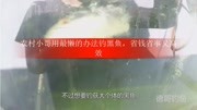 农村小哥用最懒的办法钓黑鱼,省钱省事又高效生活完整版视频在线观看爱奇艺