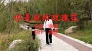 一首歌一段回忆《你是我的玫瑰花》曲曲感人,收藏了音乐背景音乐视频音乐爱奇艺