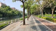 花开蝴蝶自来旅游完整版视频在线观看爱奇艺