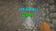 大宝哥我的世界无赖家族成长记01:对不起兄弟们,托马斯大宝来晚资讯搜索最新资讯爱奇艺