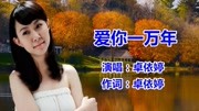 卓依婷《爱你一万年》经典怀旧老歌音乐背景音乐视频音乐爱奇艺