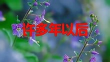 许多年以后简谱_许多年以后图片(2)