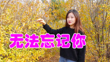 无法忘记你的歌曲的曲谱_无法忘记你杨美华图片(2)