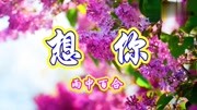 网络情歌,雨中百合演唱《想你》好听至极音乐背景音乐视频音乐爱奇艺