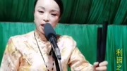 河南坠子《十把穿金扇》选段河南坠子《十把穿金扇》选段综艺节目完整版视频在线观看爱奇艺