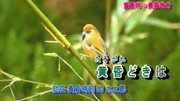 日本经典演歌:冰川清志《面影の都》日文经典,中文字幕音乐背景音乐视频音乐爱奇艺