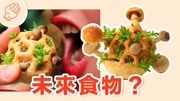 盘点5种高科技的未来食物!生活完整版视频在线观看爱奇艺