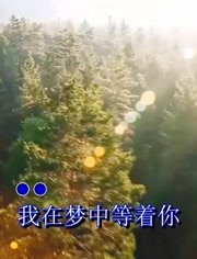 一曲《梦中等着你》歌声真情流露,深深勾起相思情