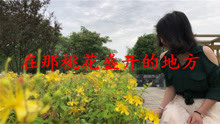 pv_13327867700_d_601_220_124.jpg
