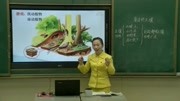 三年级科学下册教学视频1《身边的土壤》粤教版(黄小蓉)知识名师课堂爱奇艺