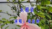 卓依婷一首《长相依》怀旧老歌,歌声凄美动情,让人久久回味!音乐背景音乐视频音乐爱奇艺