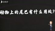 动物上的尾巴有什么用处?知识名师课堂爱奇艺