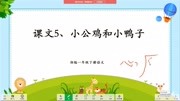 小公鸡和小鸭子1教育完整版视频在线观看爱奇艺