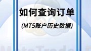 皇御环球:如何查询订单以及MT5账户历史数据修改MT5教学视频7原创完整版视频在线观看爱奇艺