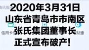 张氏集团由于资金链断裂与3月31日宣布破产!娱乐完整版视频在线观看爱奇艺