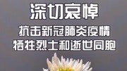 今日全国哀悼,悼念牺牲烈士和逝去的同胞资讯搜索最新资讯爱奇艺