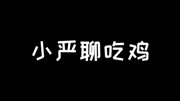 小严和平精英游戏完整版视频在线观看爱奇艺