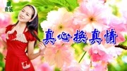 一首情歌《真心换真情》浪漫甜蜜,听到了爱情的声音!好听极了!音乐背景音乐视频音乐爱奇艺