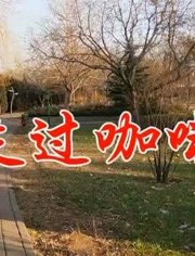 千百惠经典老歌《走过咖啡屋》嗓音甜美圆润,勾起多少美好回忆!