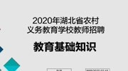 2020湖北农村义务教师招聘教育学资讯搜索最新资讯爱奇艺