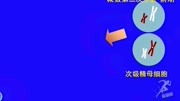 网课有什么好工具好软件吗来能量库APP全网最低价轻松学知识名师课堂爱奇艺