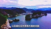 藏红花精油的价格,2020藏红花精油的价格生活完整版视频在线观看爱奇艺