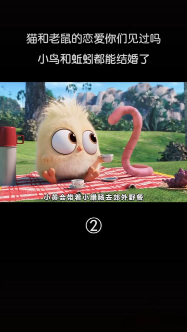小鸟与蚯蚓跨越种族的爱情②