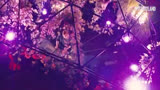 Paul van Dyk LIVE at Mysteryland 2020 Lovestream - Sunday Sessions 24