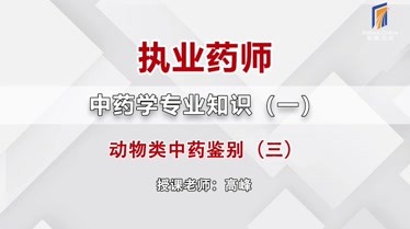 思考在线:执业药师之常见动物类中药的鉴别(三-知识-名师课堂-爱奇艺