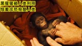 猩球崛起：人类利用黑猩猩研究人类药物，惹怒黑猩猩