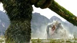 《金刚：骷髅岛》远古金刚大战骷髅巨蜥，场面火爆震撼