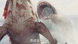 巨齿鲨：海洋中的巨兽，地球上最大的鲨鱼《巨齿鲨》