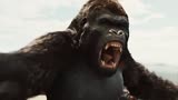猩球崛起：黑猩猩军团和人类大战，场面超燃，非常团结不落下风