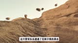 2史诗大片《止杀令》：蒙古第一次西征