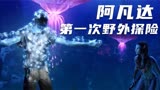 阿凡达2观看看复习资料（二）野外探险邂逅美女