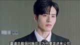 《骑着鱼的猫》第二集花花进入公司
