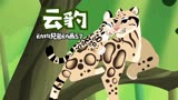 【动物兄弟】动画57：神秘的云豹