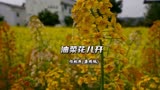 《油菜花儿开》何秋萍·剪辑版