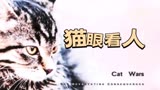 2023惊悚片《猫眼看人》