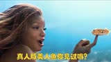 黑人版美人鱼定档于今年5月26号上映，你期待了嘛